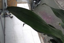 Hướng Dẫn Tối Ưu Góc Camera Ngang Sang Dọc Hãng Hikvision